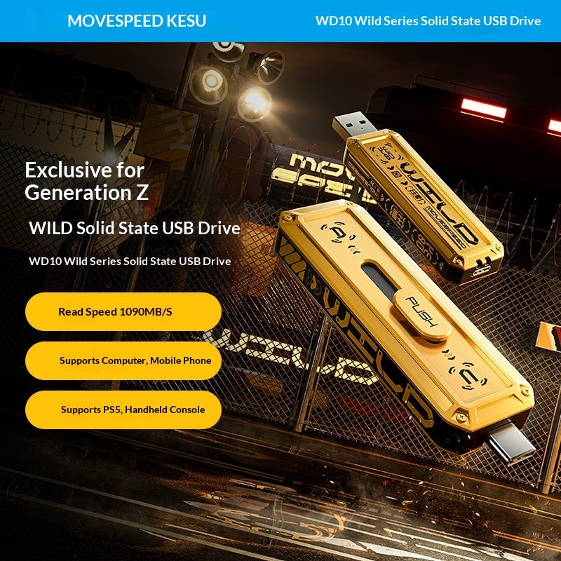 Dual-Type-C Port Solid-State USB Flash Drive For Phones And Computers